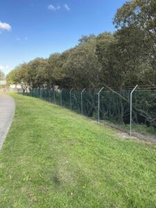 Sydney Olympic Park - Cut back overhanging trees